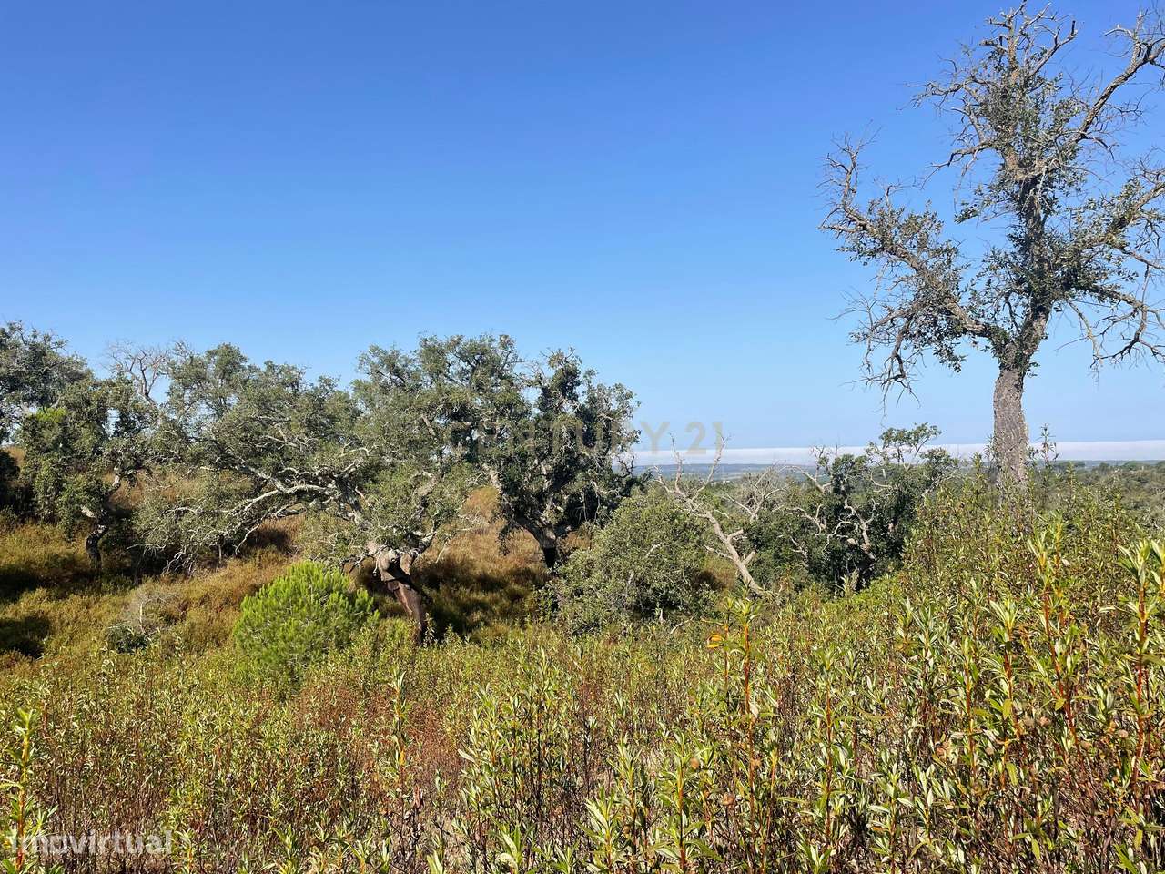 Terreno com 50 Ha , com vista fantástica em Melides - Grande imagem: 2/6
