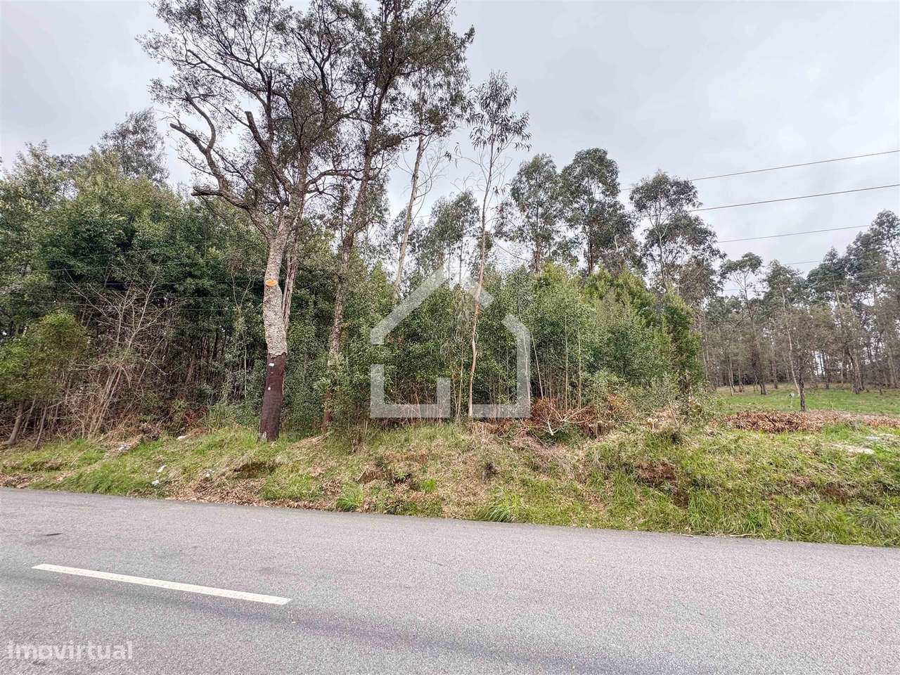 Terreno - Lourosa - Grande imagem: 2/5