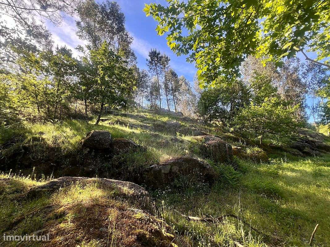 Terreno  para venda - Grande imagem: 4/11