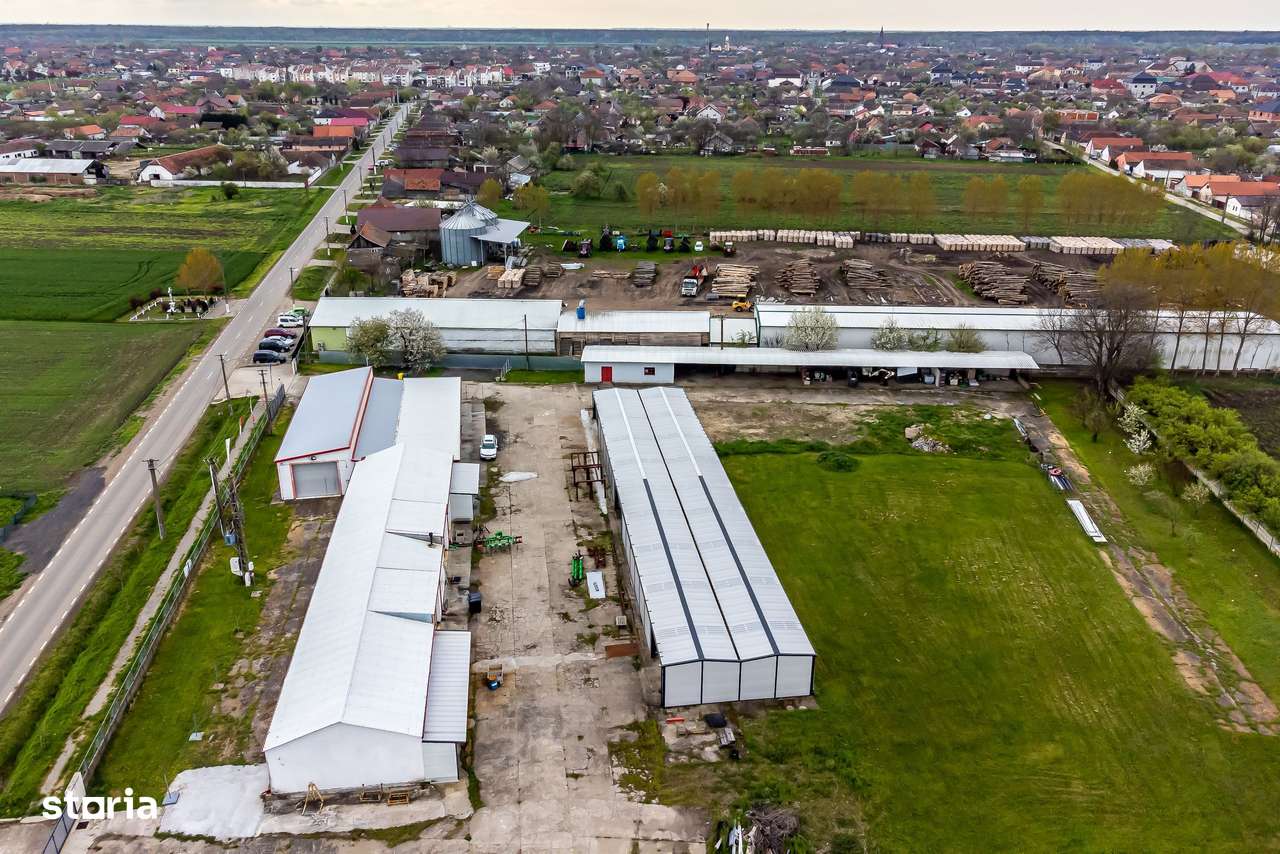 Hale depozitare/producție 2.000 mp si 10.000 mp teren în Pecica - Imagine principală: 3/17