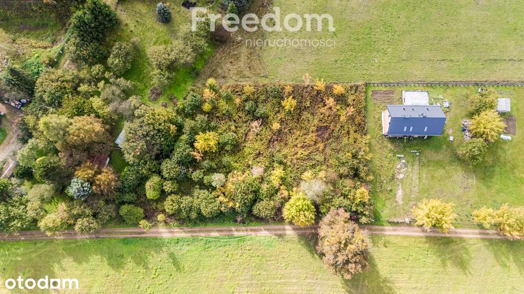 działka z wz położona między Wisłą, a Kampinosem - Pełny obrazek: 4/8