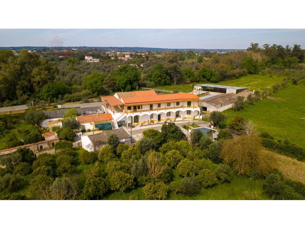 Vende Se Quinta Em Evora Com 10 95 Hectares Excelente Potencial Tu