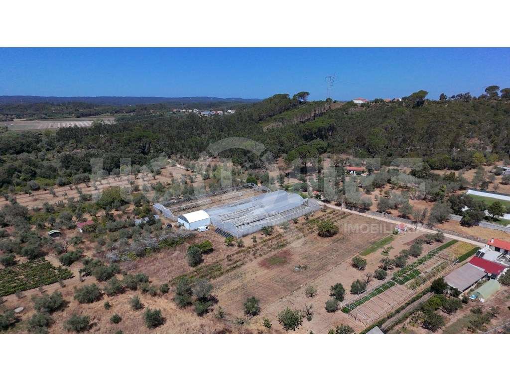 Terreno Agrícola com Estufas Preparadas para Produção em Hidroponia...-30
