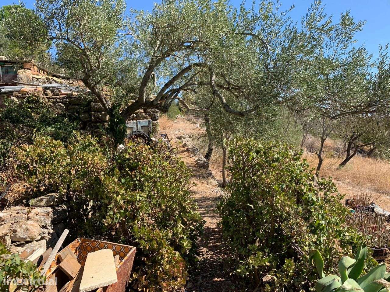 Terreno Urbano, com 3 artigos, Colmeal-44