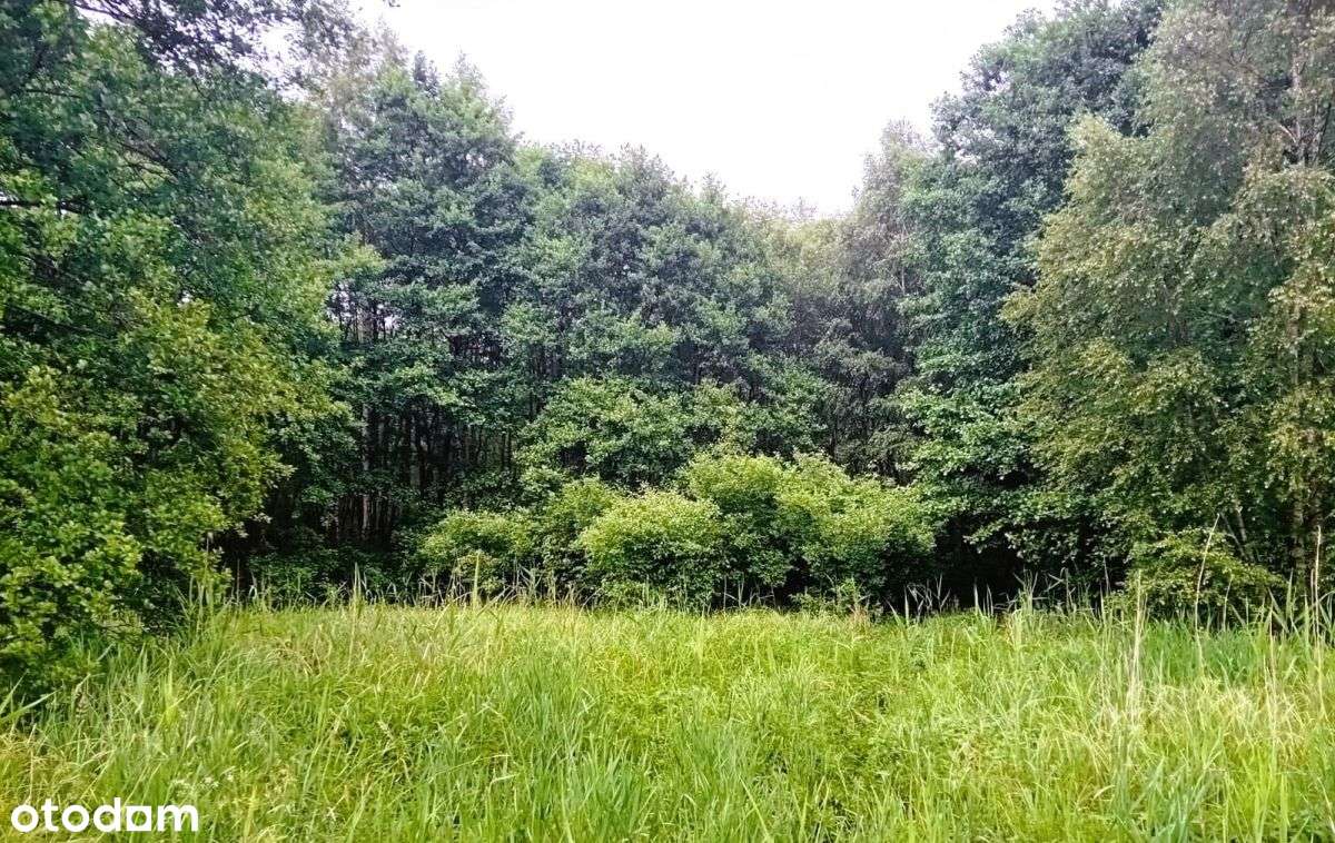 Nieruchomość gruntowa nad rzeką Redą z potencjałem - Pełny obrazek: 4/10