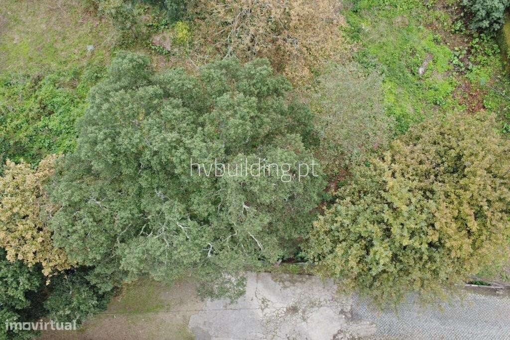 Terreno para construção em Carvalhal-2