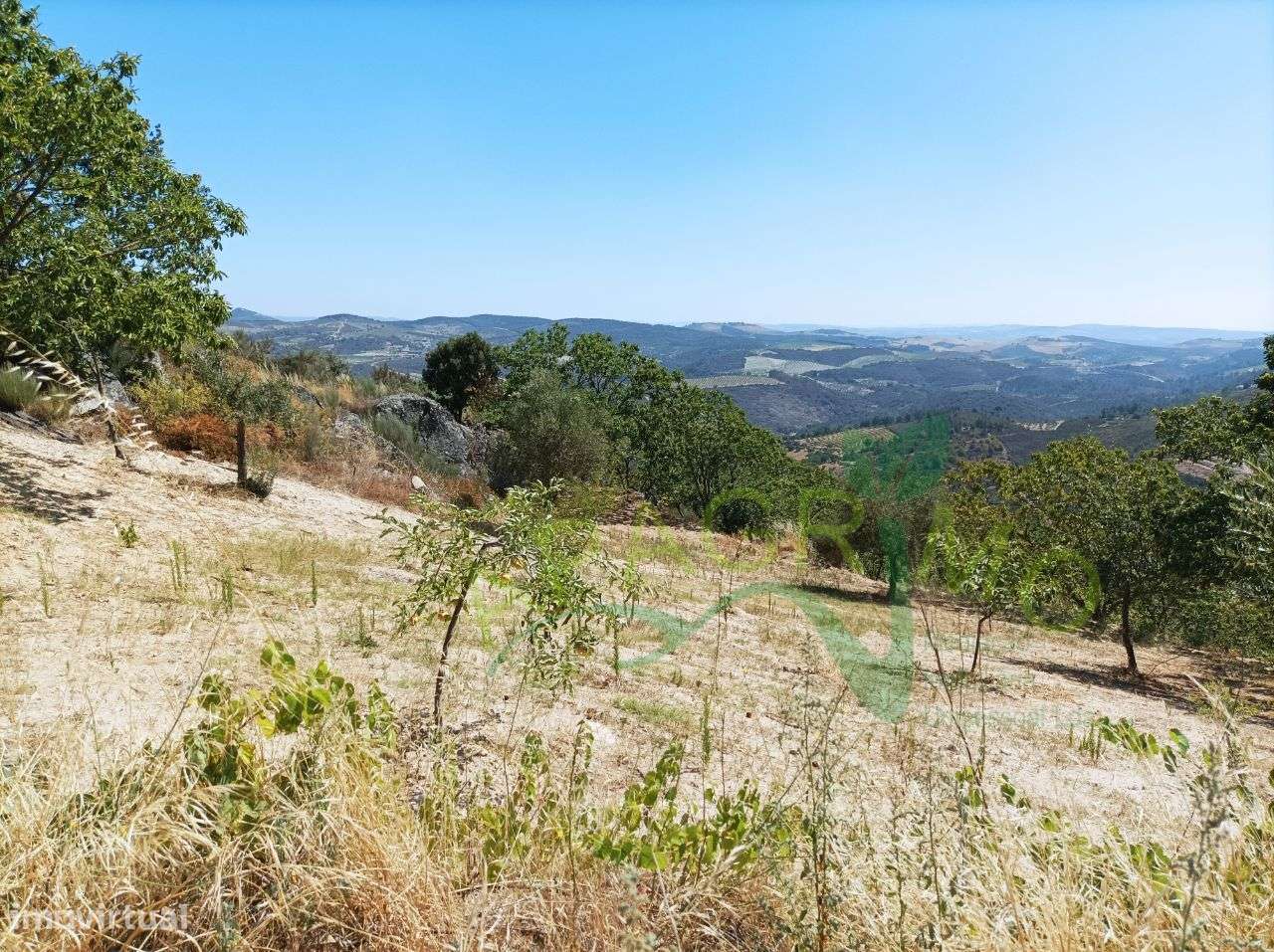 Terreno rústico "Santo Aleixo" em Póvoa de Penela - Grande imagem: 4/14