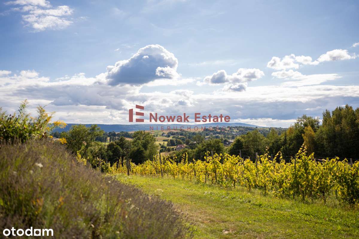 Winnica & Agroturystyka | gotowy biznes-2