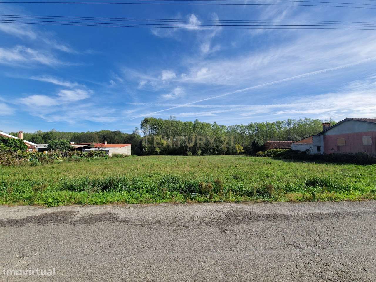 Terreno para construção em Oliveira do bairro - Grande imagem: 3/7