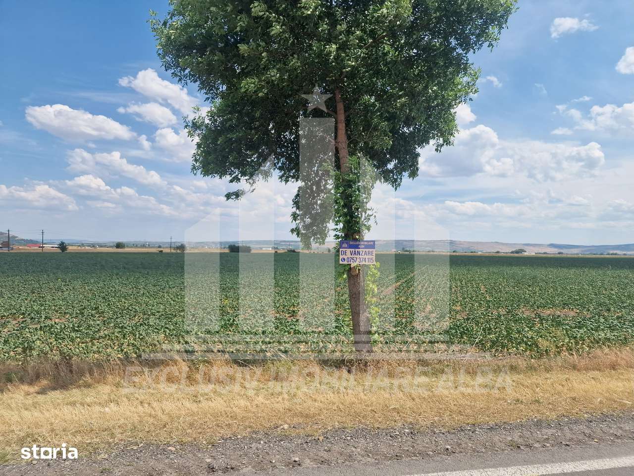 Teren agricol la sosea, pretabil si ptr constructii industriale - Imagine principală: 5/9