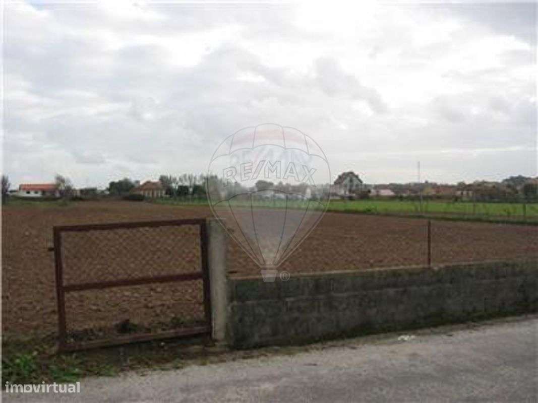 Terreno T0 para venda - Grande imagem: 5/6