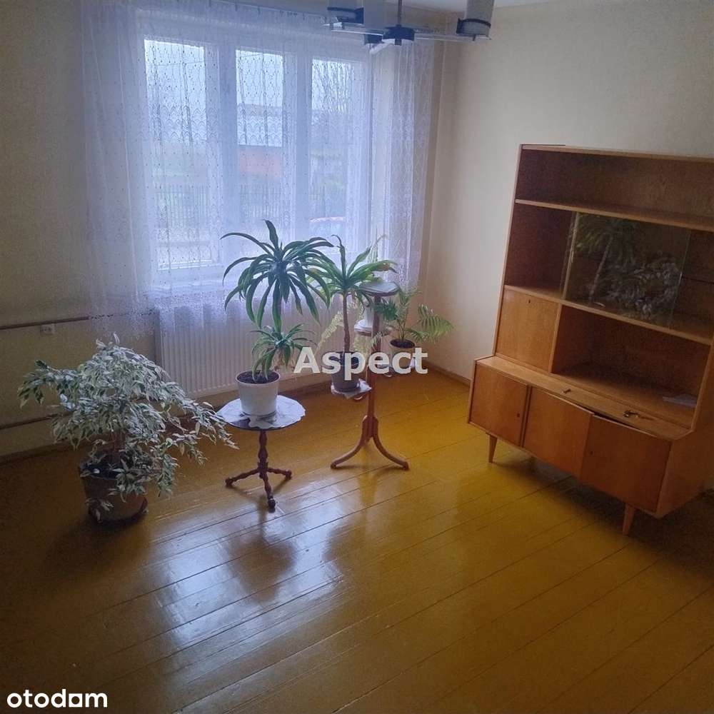 Siedlisko w pobliżu jeziora i lasów. - Pełny obrazek: 4/15