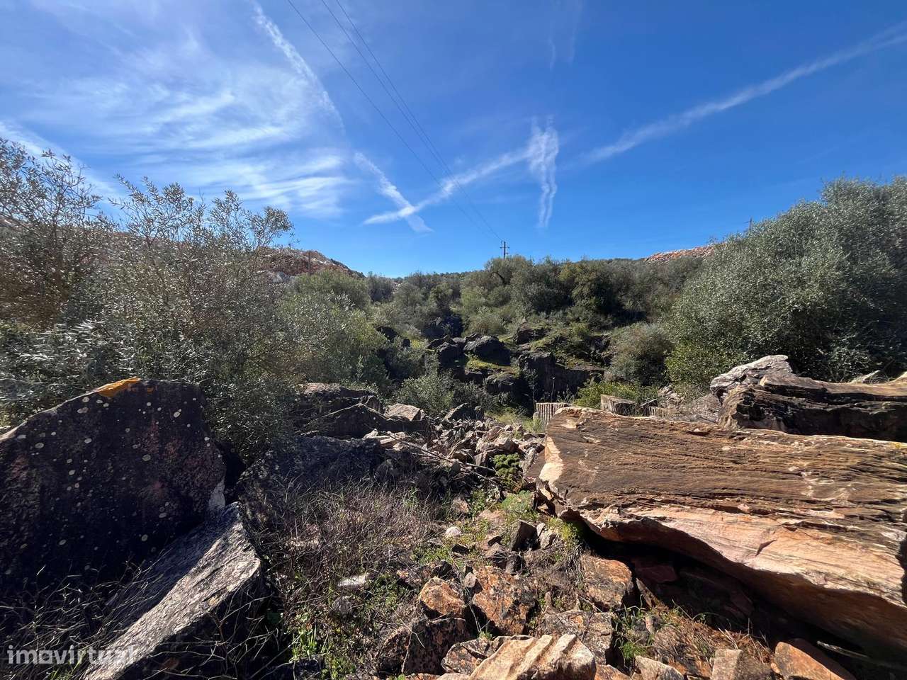 PEDREIRA | OLIVAL | VENDA | BORBA-7