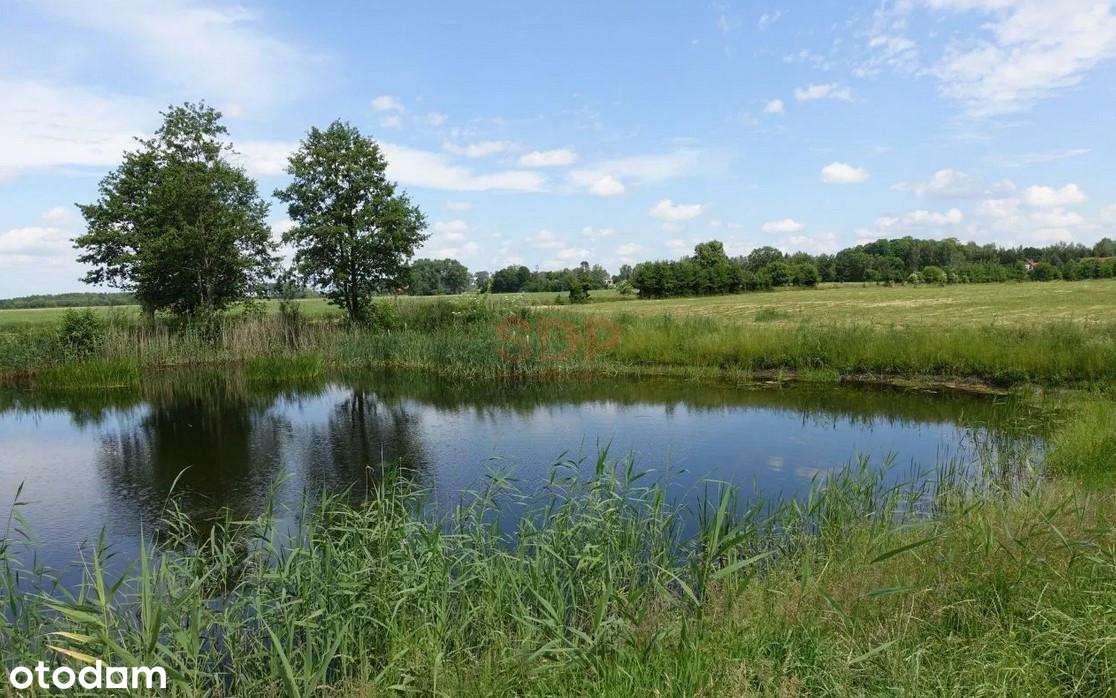 Kal / Jezioro Mamry | 1,42 ha z linią brzegową | działka inwestycyjna - Pełny obrazek: 5/8