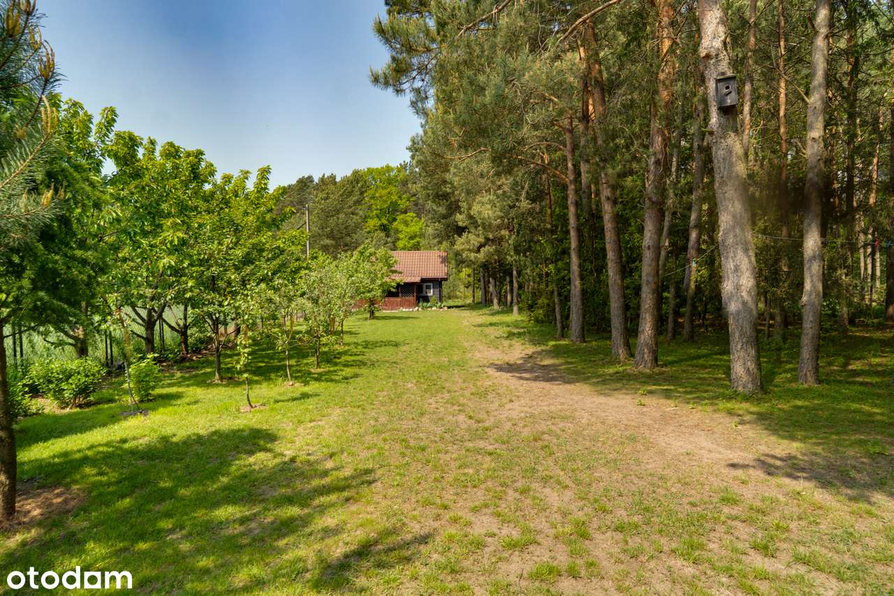 Duża działka z dwoma domkami i garażem - blisko rzeki Narew-3