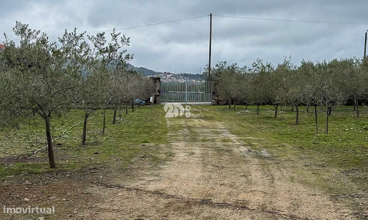 Terreno 5860m² - Pinheiros-10