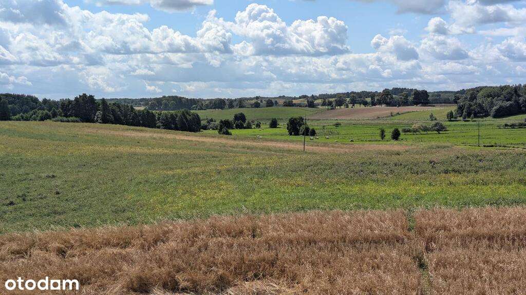 Na sprzedaż siedlisko na Pojezierzu Drawskim.-9
