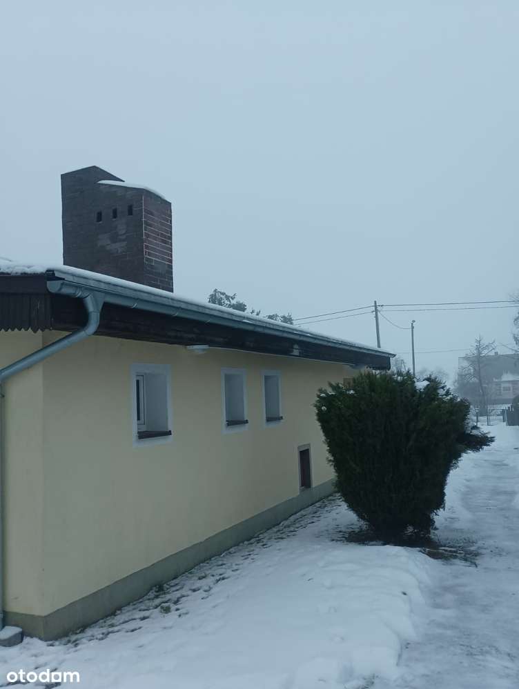 Budynek parterowy do adaptacji na cele usługowe 129,2m2 - Pełny obrazek: 4/19