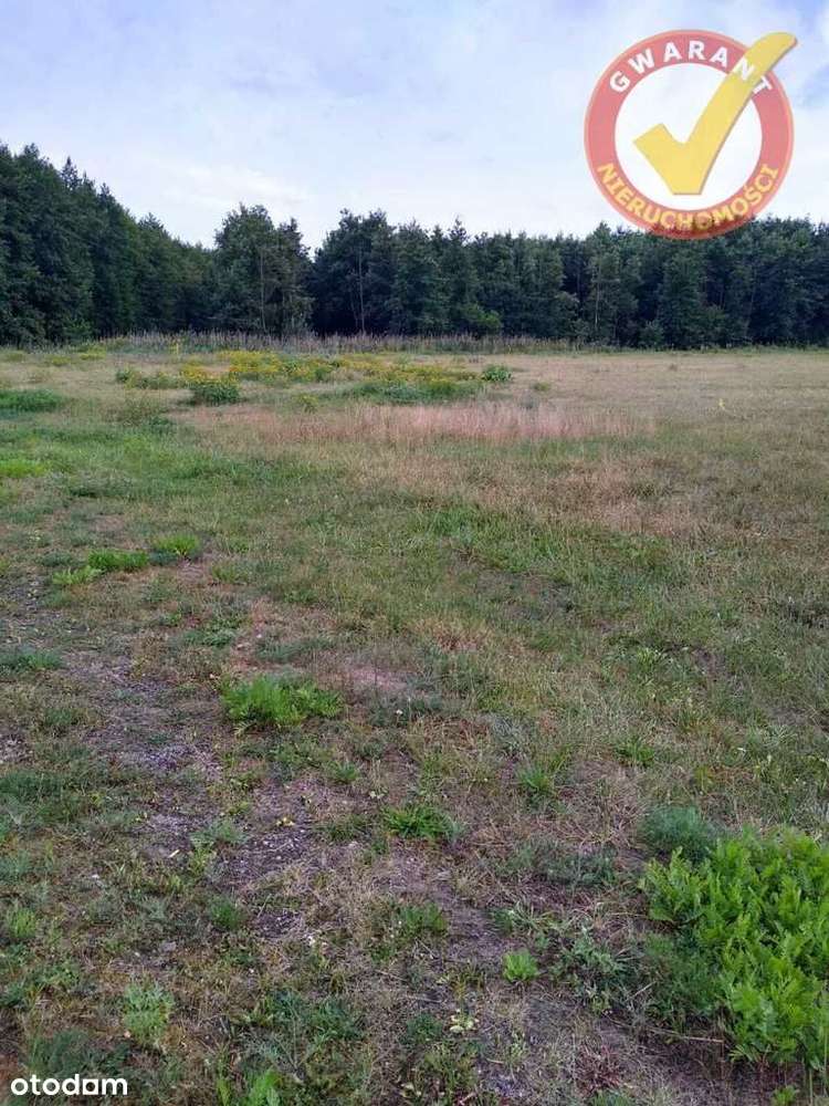 Działka z Wz na 7 budynków, granicząca z lasem. - Pełny obrazek: 4/5