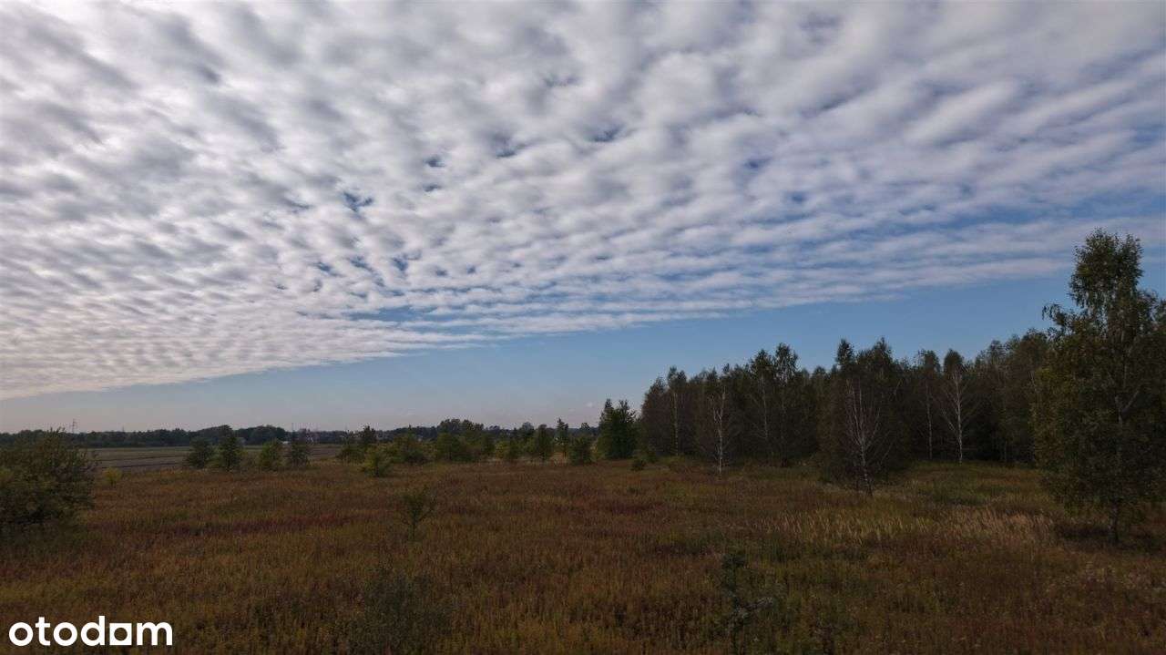 Działka inwestycyjna, Władysławów, gm. Lesznowola - Pełny obrazek: 4/10
