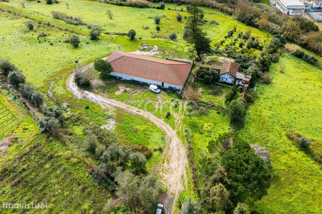 Armazéns Industriais + 5 Hectares de Terreno | A 20 Minutos de Lisboa - Grande imagem: 5/15