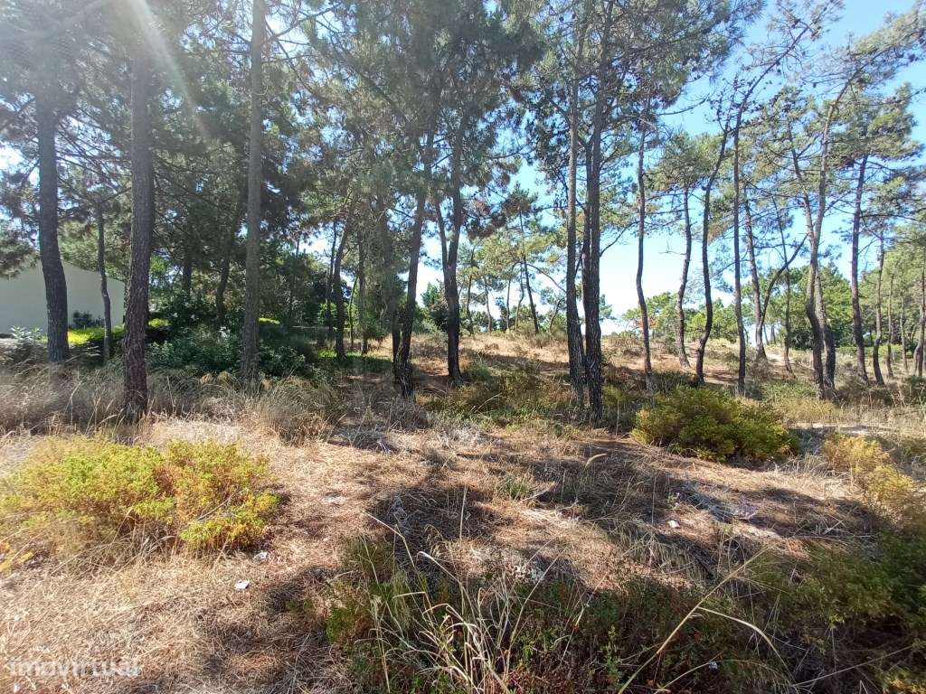 Terreno Troia - Grande imagem: 2/15