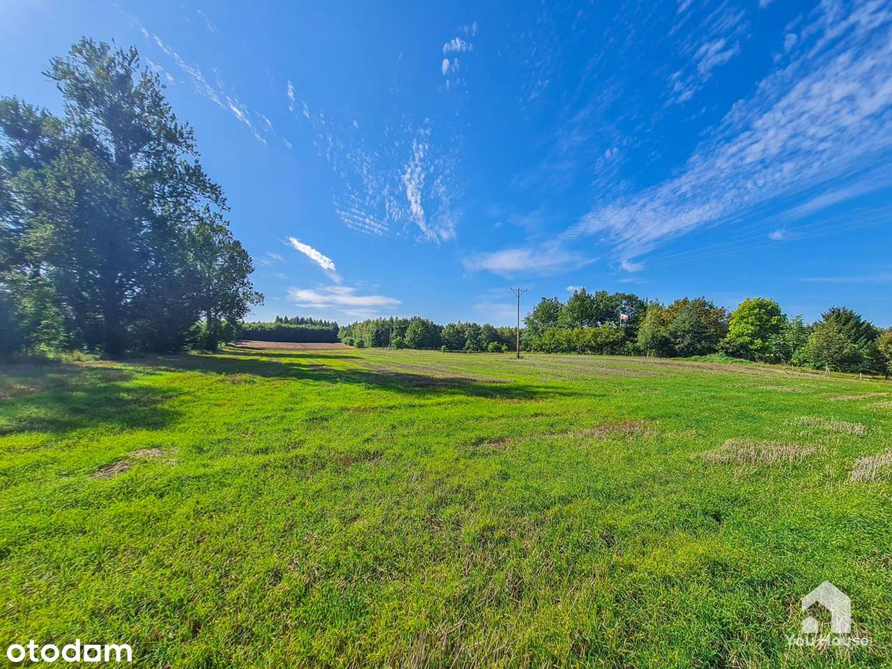 Działka budowlana 93,5 arów – Tereszewo-10