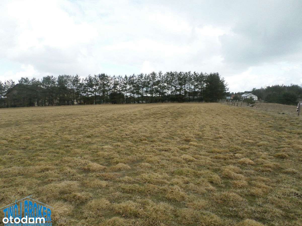 działka budowlana nad jeziorem - Pełny obrazek: 4/14