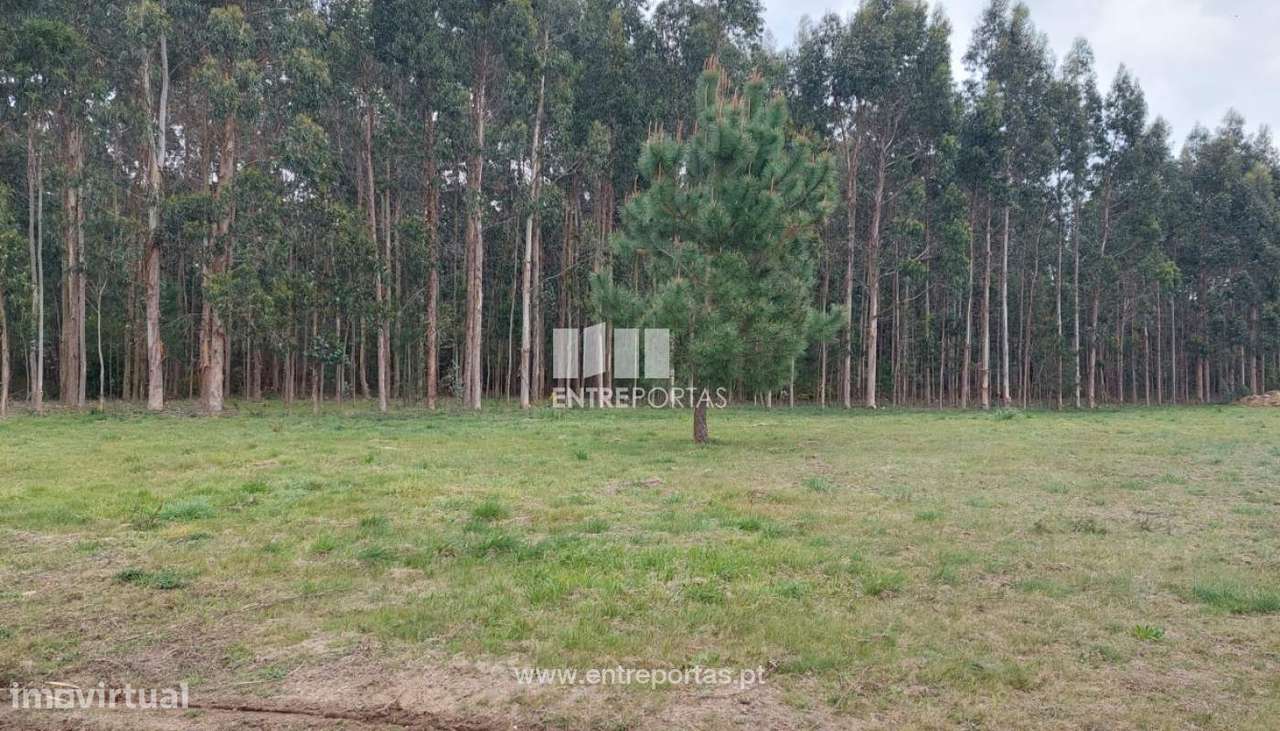 Venda de Terreno Industrial, Palmeira de Faro, Esposende. - Grande imagem: 4/27