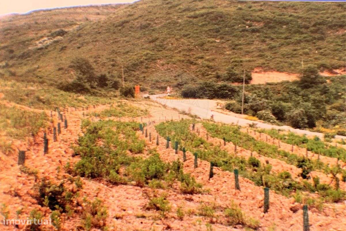 Terreno  para venda - Grande imagem: 2/5