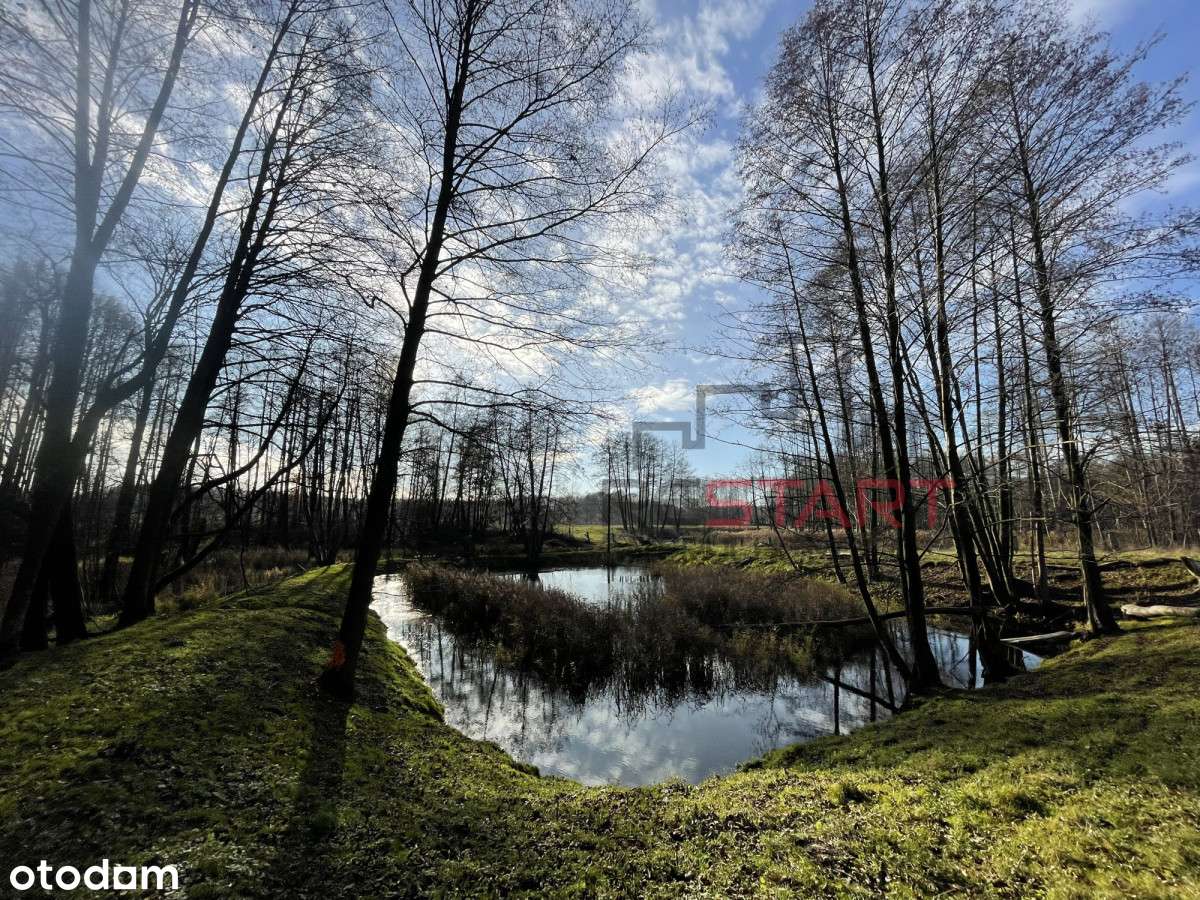 Urokliwe siedlisko w Korabiewicach-5