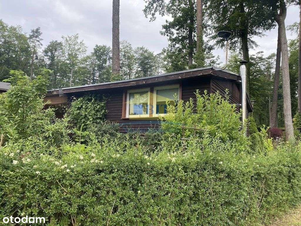 Domek letniskowy nad jeziorem Dłusko - Pełny obrazek: 5/20