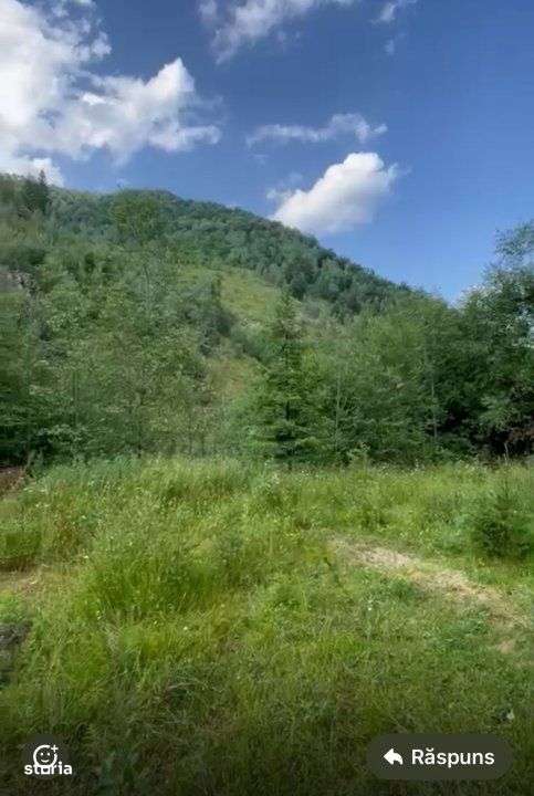 Teren pentru constructie in Valea Ierii cu front la dum asfaltat si ut - Imagine principală: 2/4