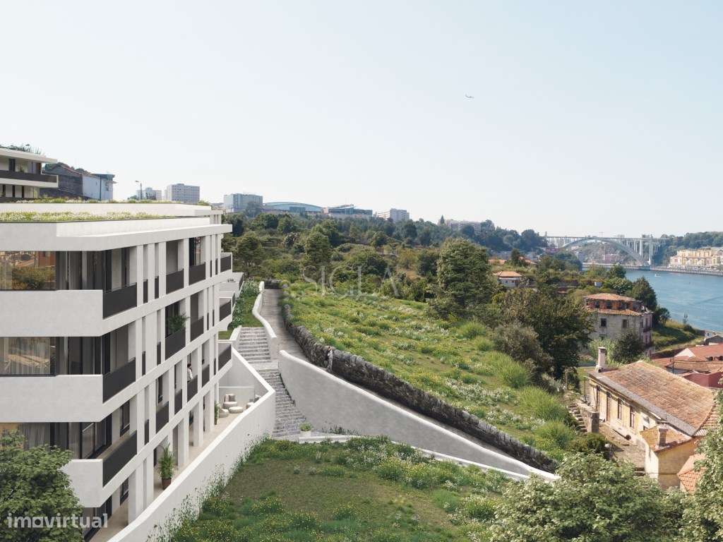 T1 no Candal - Grande imagem: 3/4