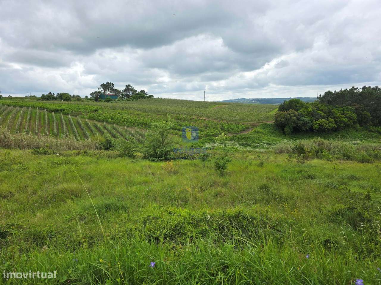 Terreno com 9.620m², sendo que cerca de 6.000m² encontram-se em Espaç - Grande imagem: 5/22