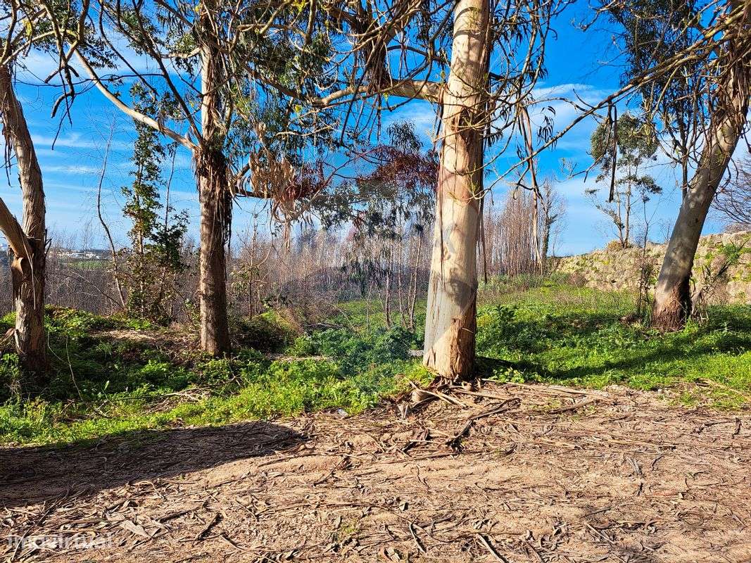 Terreno  para venda - Grande imagem: 4/13