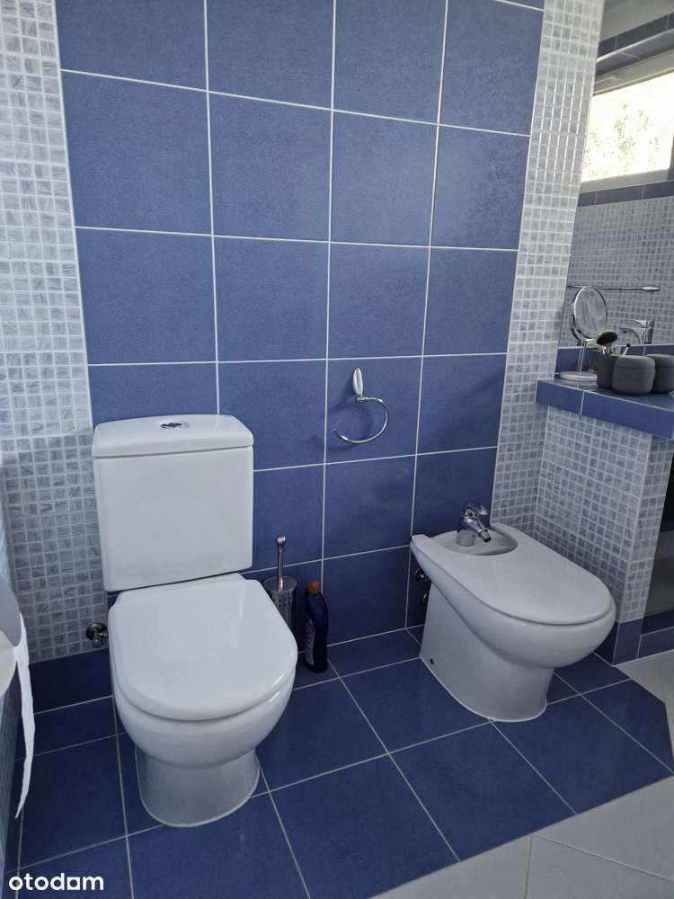 Atrakcyjny dom z garażem 2 stanowiskowym ,wiatą i pięknym ogrodem-13
