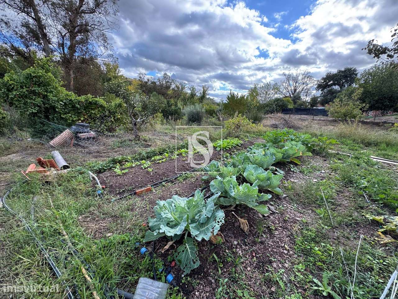 Quintinha em Tramaga-27