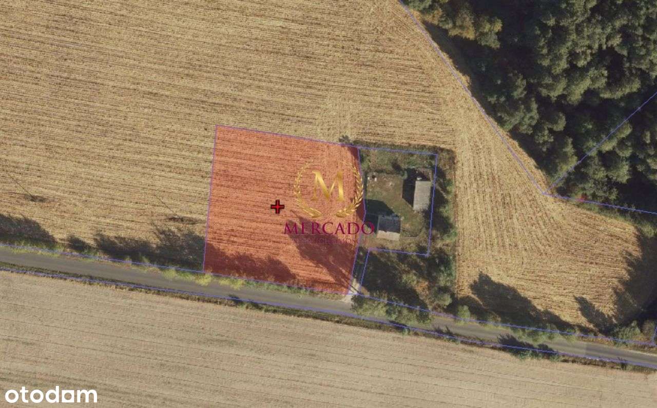 |Działka z warunkami zabudowy|2929m2! | - Pełny obrazek: 4/5