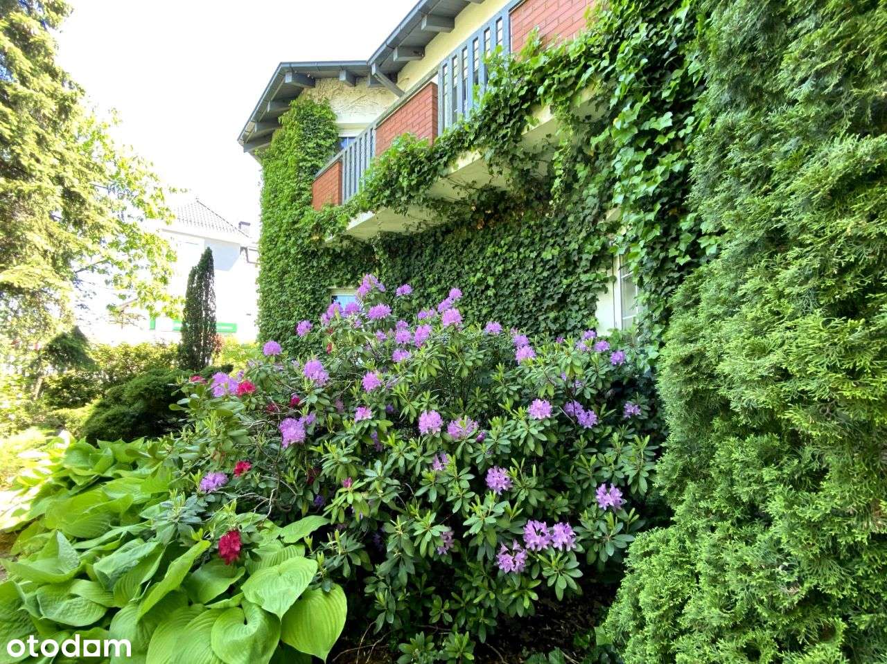 Wspaniała Willa Z Wyjątkowym Ogrodem-19