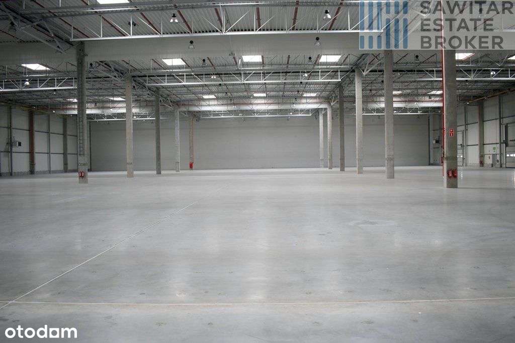 Hala klasy"A"przy S11-bez prowizji - Pełny obrazek: 4/6