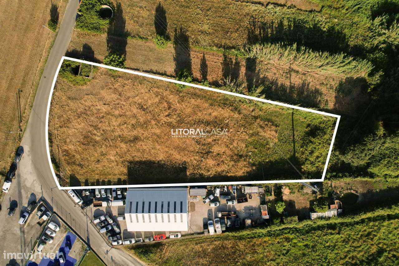 Terreno para construção em Altura - 5.350 m2 - Grande imagem: 3/20