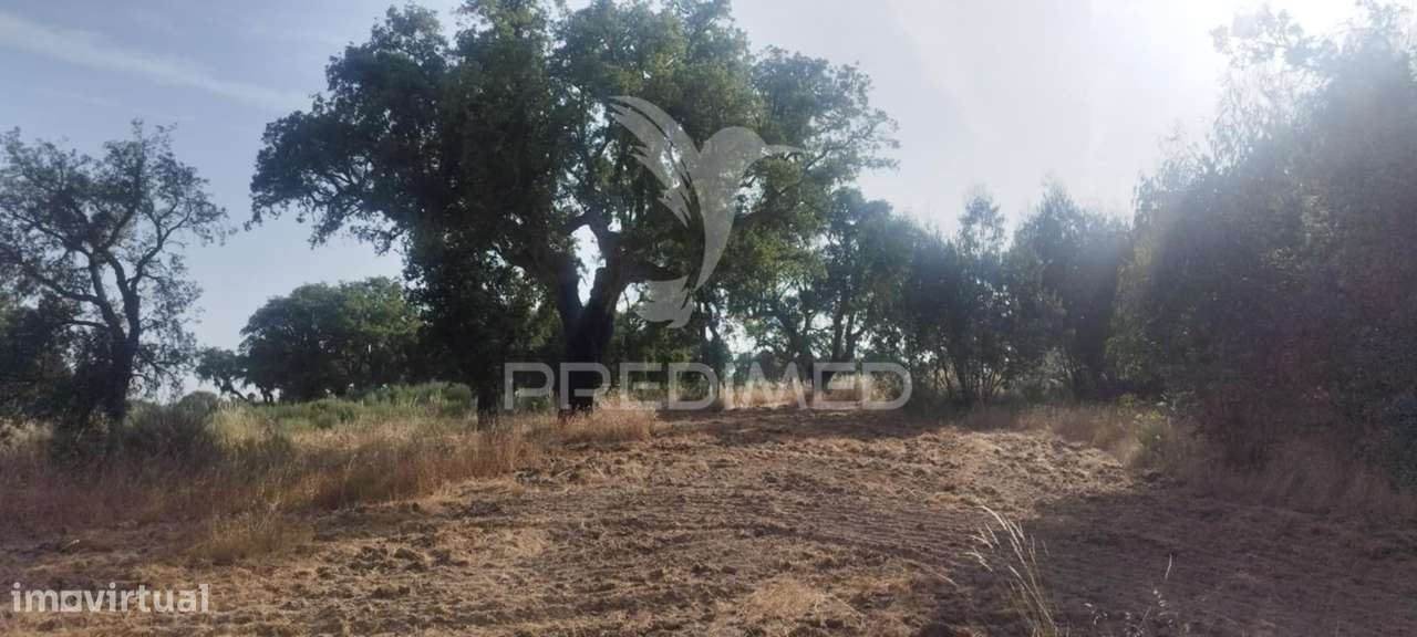 Terreno agricola /construção - Grande imagem: 4/5