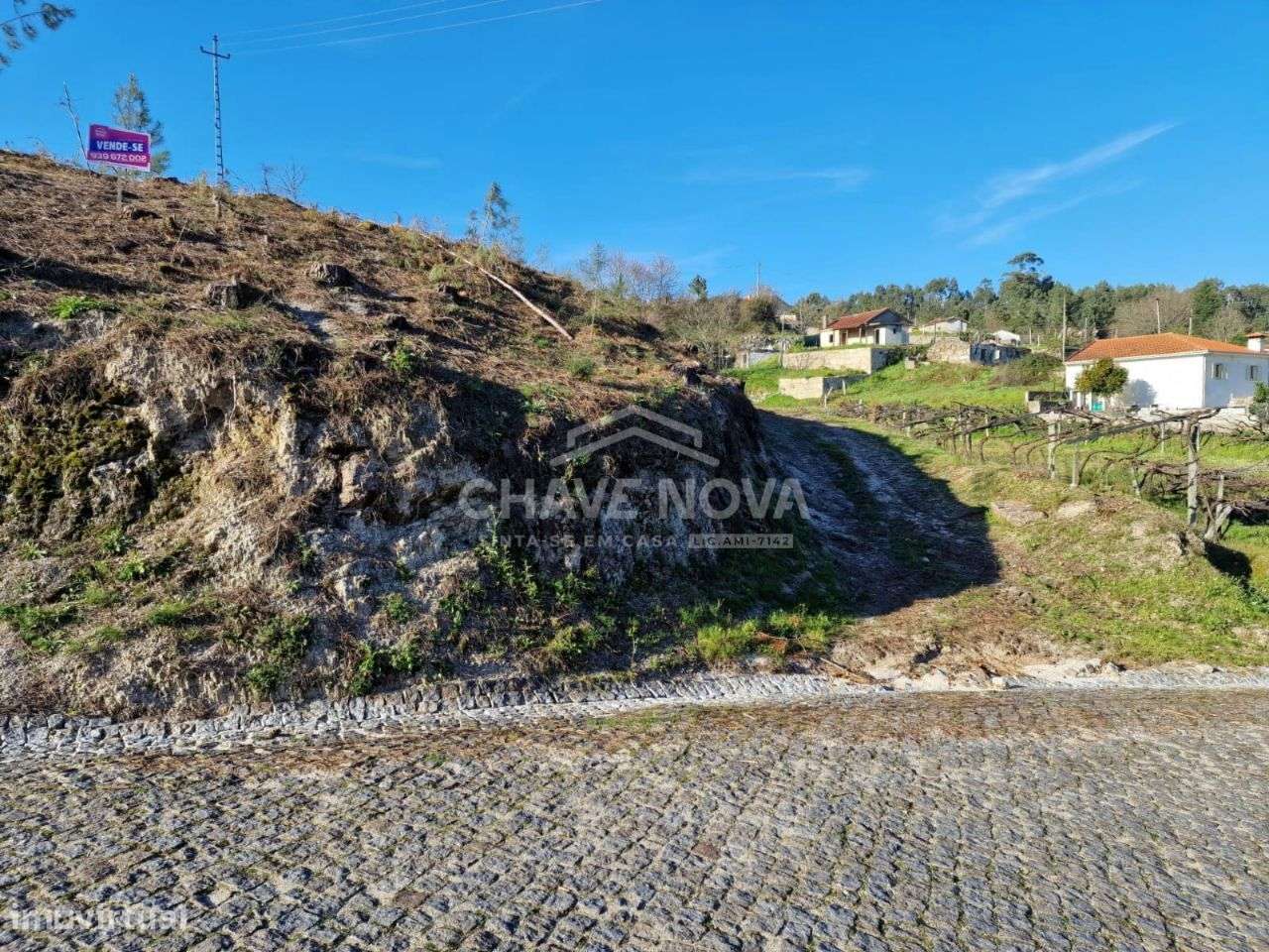 Terrenos C/ 9275m² - Mancelos (Amarante) - Grande imagem: 3/4