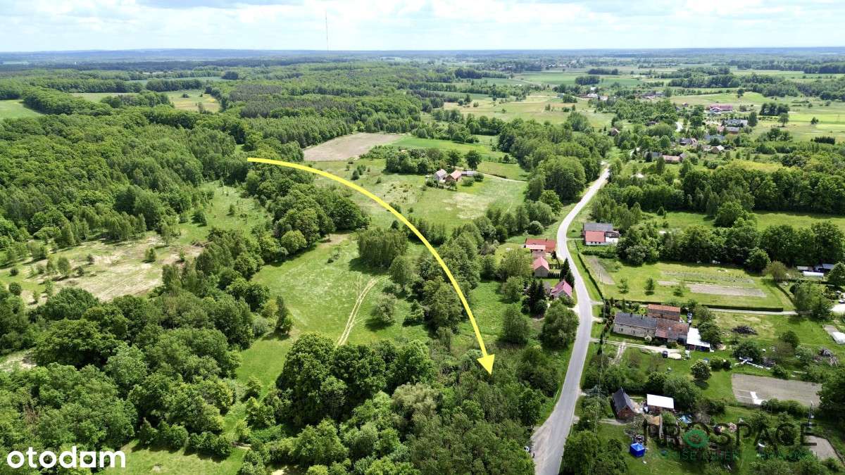 Duża działka ze stawem – Przylaski - Pełny obrazek: 4/6