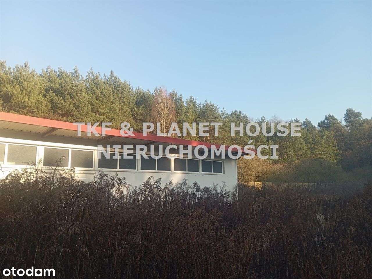 Działka 5617 m2 z halą – Sulejów - Pełny obrazek: 5/12