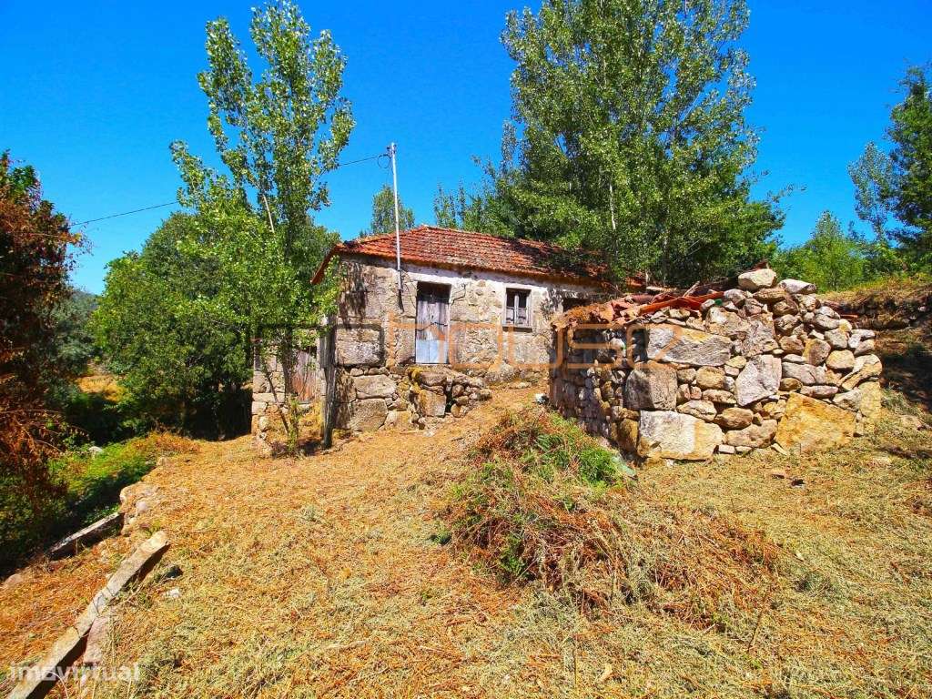 Quinta com Ribeiro e casa para restaurar - Terreno de cultivo - Grande imagem: 5/19