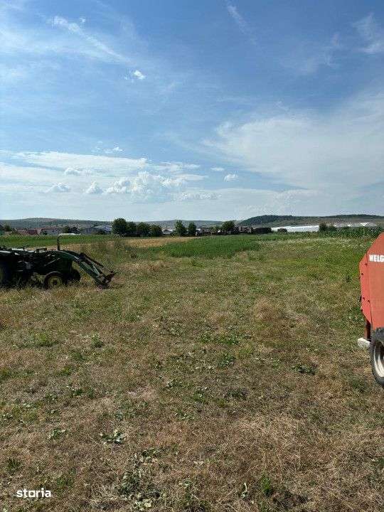 Teren Intravilan de vanzare,5800 mp in Jucu de Mijloc - Imagine principală: 2/2