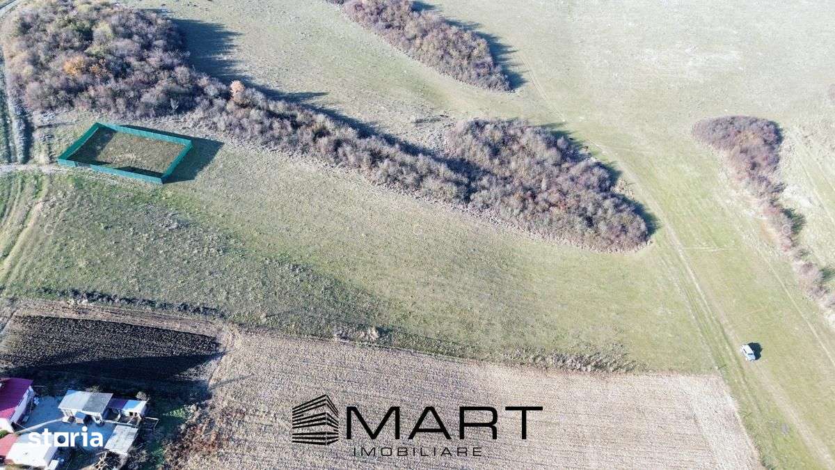 Teren extravilan 650mp Rusciori - Imagine principală: 3/3