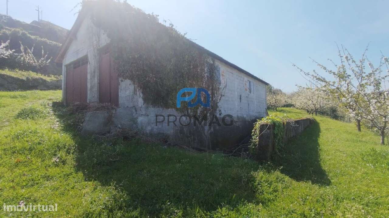 Quinta do Valado- Excelente Investimento em Resende-33